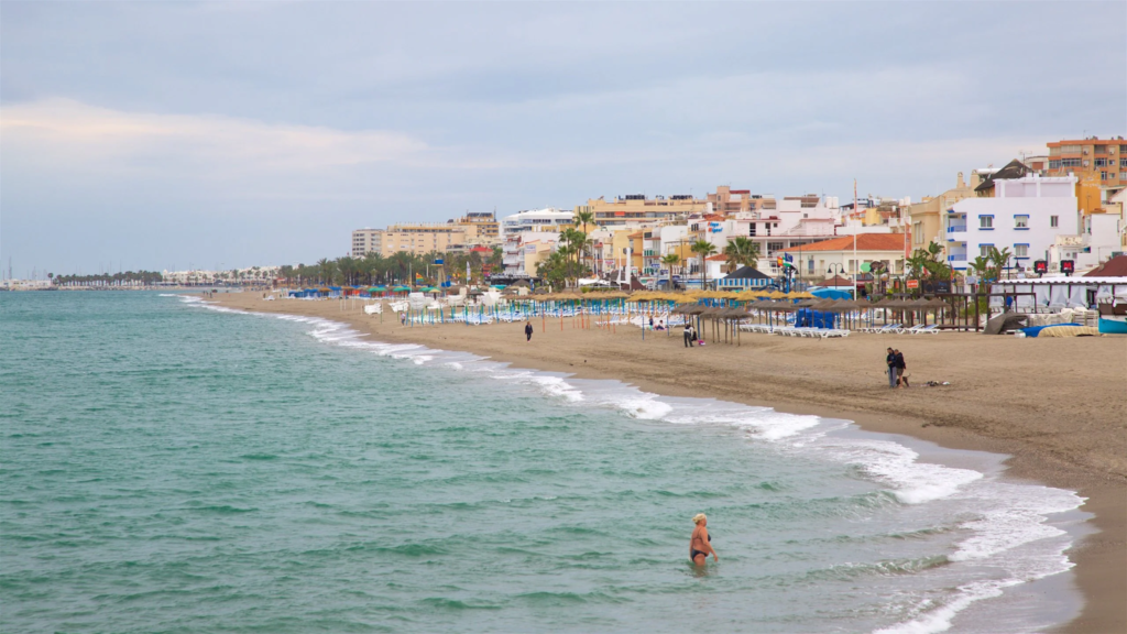 Official Response and Safety Checks