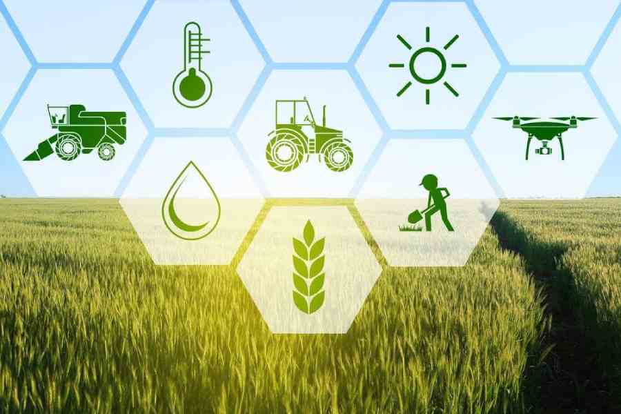 Innovations That Led to the Green Revolution: Key Changes in Farming Innovations That Led To The Green Revolution